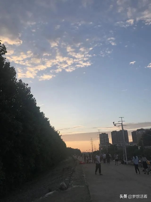 森林城市的户型怎么样?带父母过去住得惯吗?
