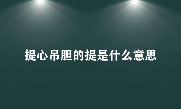 提心吊胆的提是什么意思
