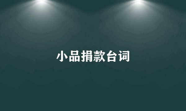 小品捐款台词