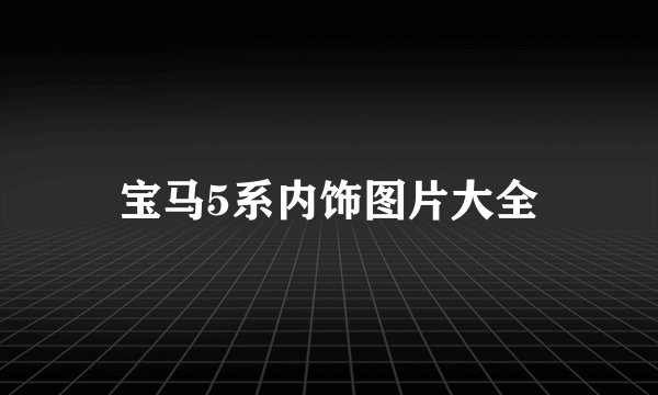 宝马5系内饰图片大全