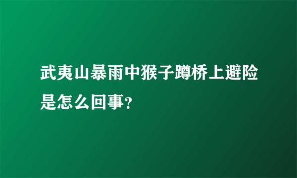 武夷山暴雨中猴子蹲桥上避险是怎么回事？