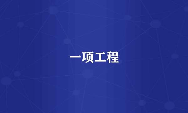 一项工程