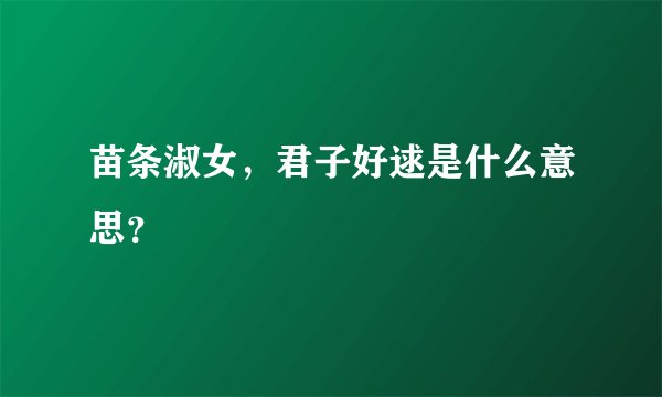 苗条淑女,君子好逑是什么意思?