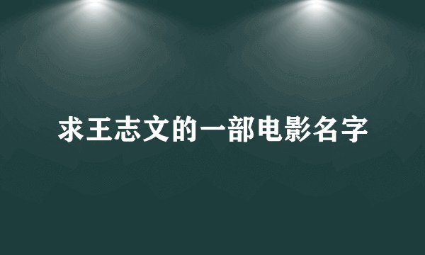 求王志文的一部电影名字
