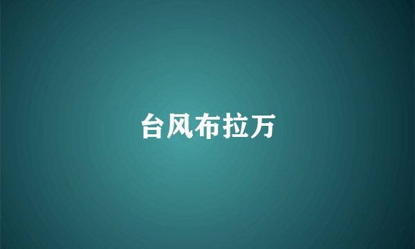 台风布拉万