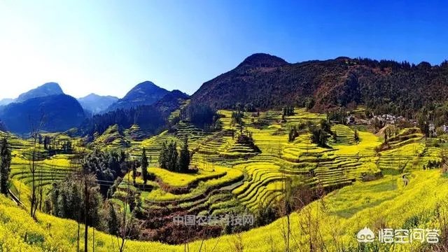 云南罗平有哪些旅游景点?