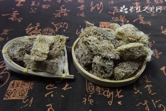 狗安乐死的药是什么 什么情况下狗要安乐死