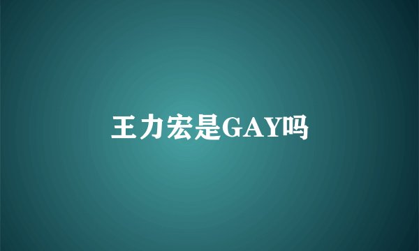 王力宏是GAY吗