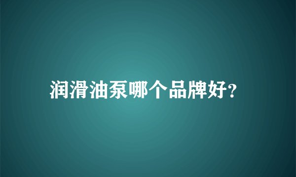 润滑油泵哪个品牌好？