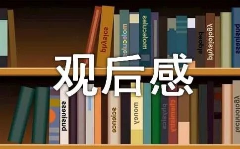 同上一堂课我们的价值观观后感