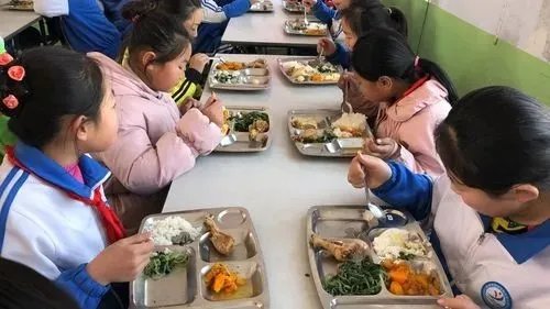 新乡一学校学生集体呕吐校长痛哭换不动送餐公司,此事背后有何隐情?