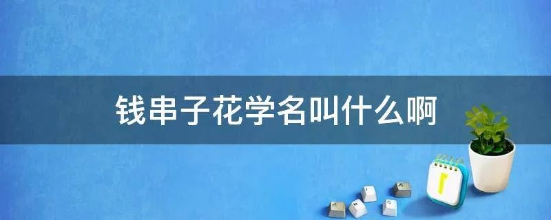 钱串子花学名叫什么啊