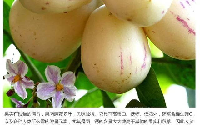 这种方形西瓜是怎么种出来的，好不好吃？