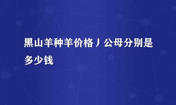 黑山羊种羊价格丿公母分别是多少钱