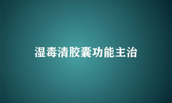 湿毒清胶囊功能主治