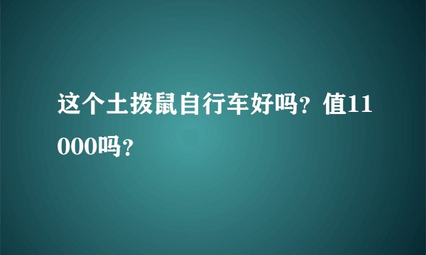 这个土拨鼠自行车好吗？值11000吗？