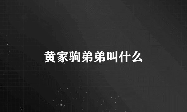 黄家驹弟弟叫什么