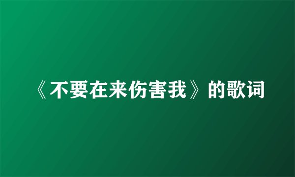 《不要在来伤害我》的歌词