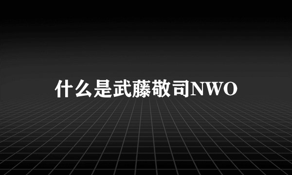 什么是武藤敬司NWO