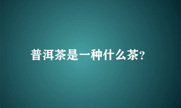 普洱茶是一种什么茶？