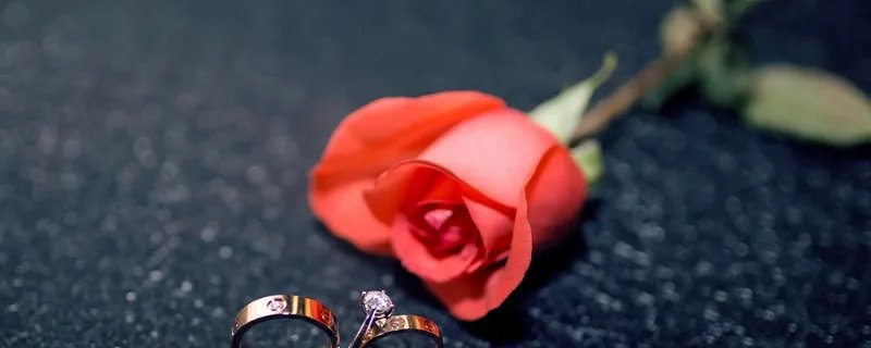 奉子成婚是什么意思