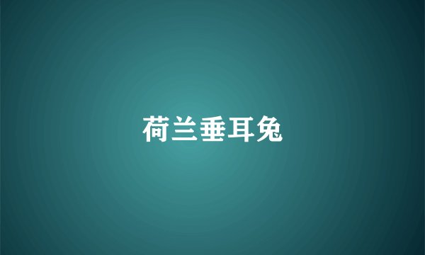 荷兰垂耳兔