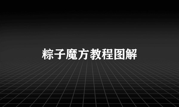粽子魔方教程图解