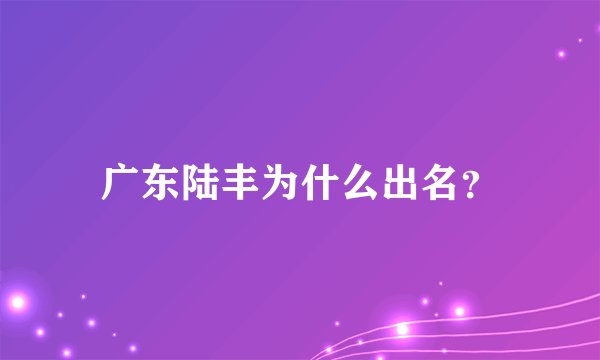 广东陆丰为什么出名？