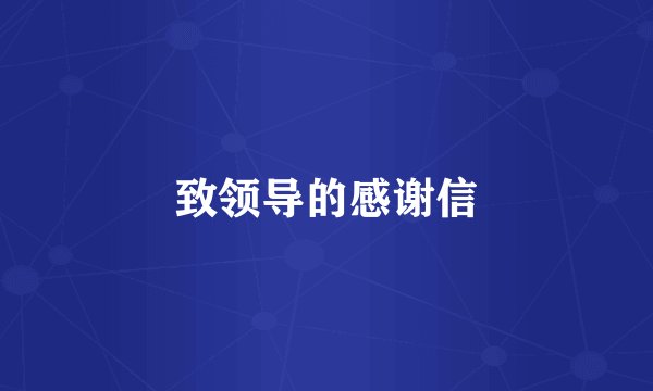 致领导的感谢信