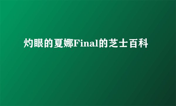 灼眼的夏娜Final的芝士百科