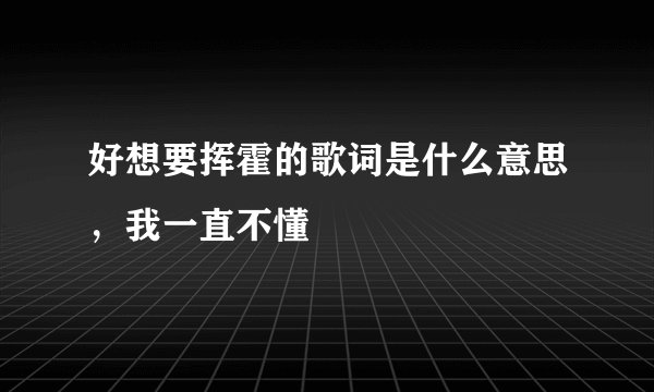 好想要挥霍的歌词是什么意思,我一直不懂