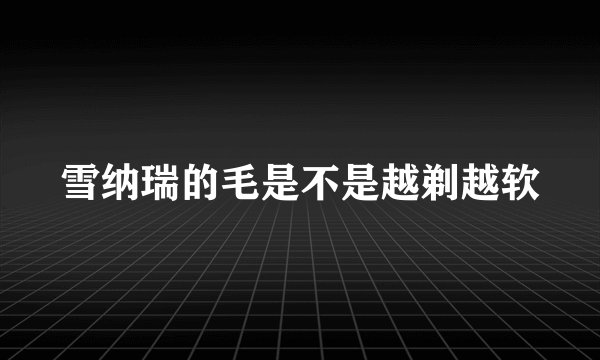 雪纳瑞的毛是不是越剃越软