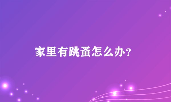 家里有跳蚤怎么办?