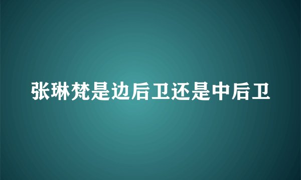 张琳梵是边后卫还是中后卫