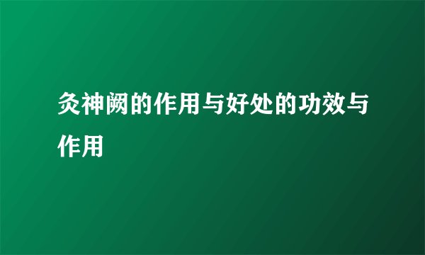 灸神阙的作用与好处的功效与作用