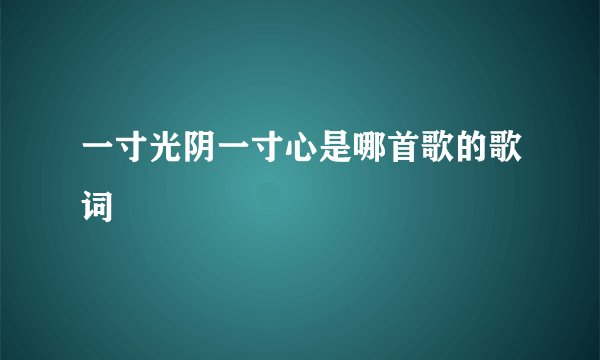 一寸光阴一寸心是哪首歌的歌词