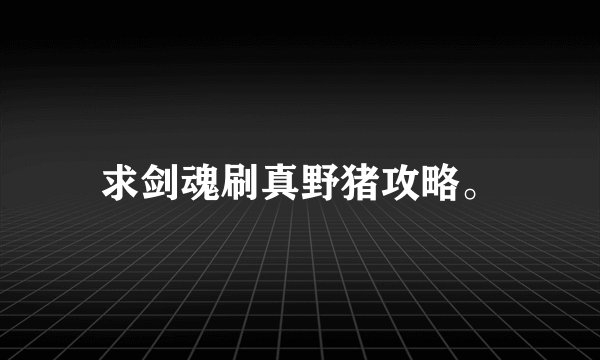 求剑魂刷真野猪攻略。