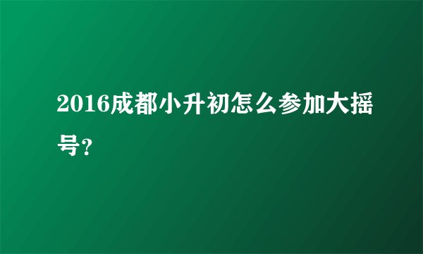 2016成都小升初怎么参加大摇号?