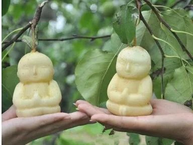 这种方形西瓜是怎么种出来的，好不好吃？
