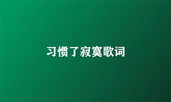 习惯了寂寞歌词