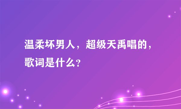 温柔坏男人，超级天禹唱的，歌词是什么？