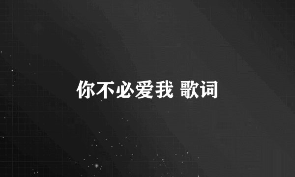 你不必爱我 歌词
