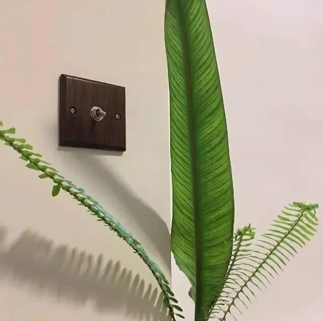 开关面板十大品牌排行是哪些?