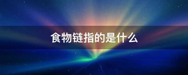 食物链指的是什么