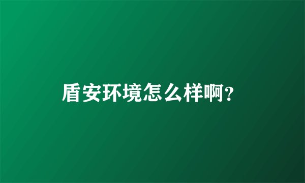 盾安环境怎么样啊？