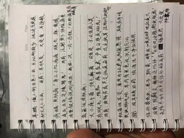 想学习宠物美容该去哪里学啊