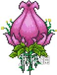 《泰拉瑞亚》全boss攻略详解