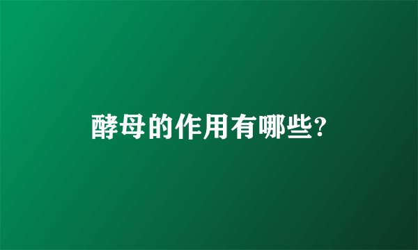 酵母的作用有哪些?
