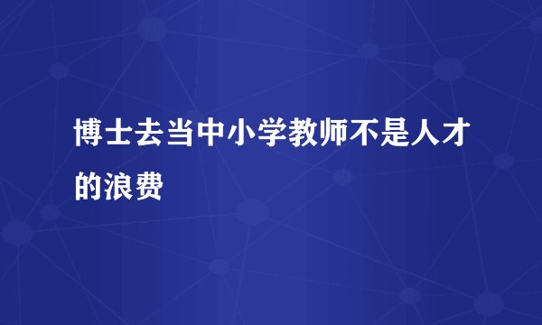 博士去当中小学教师不是人才的浪费