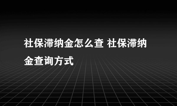 社保滞纳金怎么查 社保滞纳金查询方式